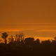 The Thomas Fire Montecito, California, back in 2017.